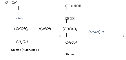 2287_interconversion of glucose2.png